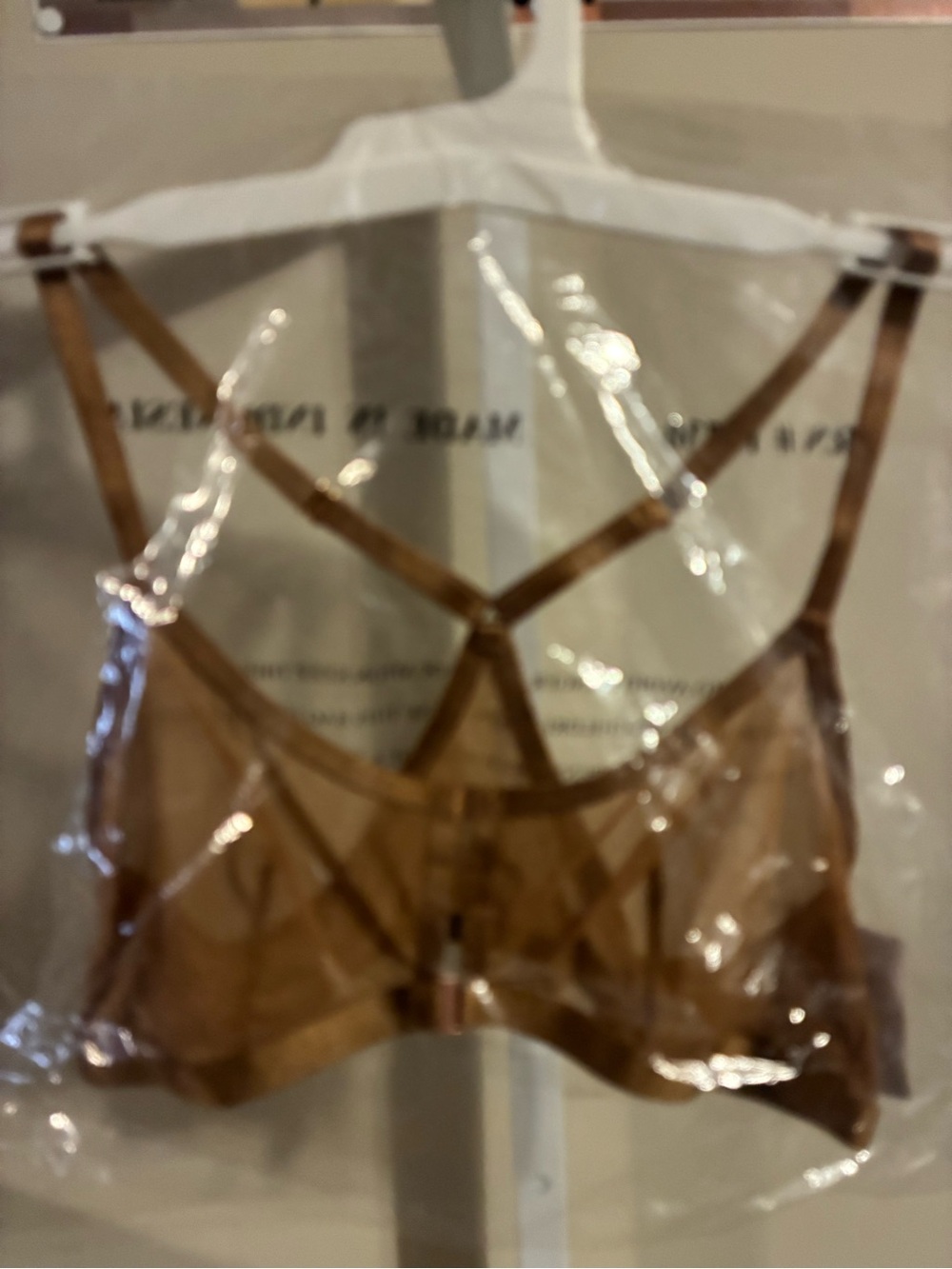 Sheer Strappy Bralette in Brown by Auden